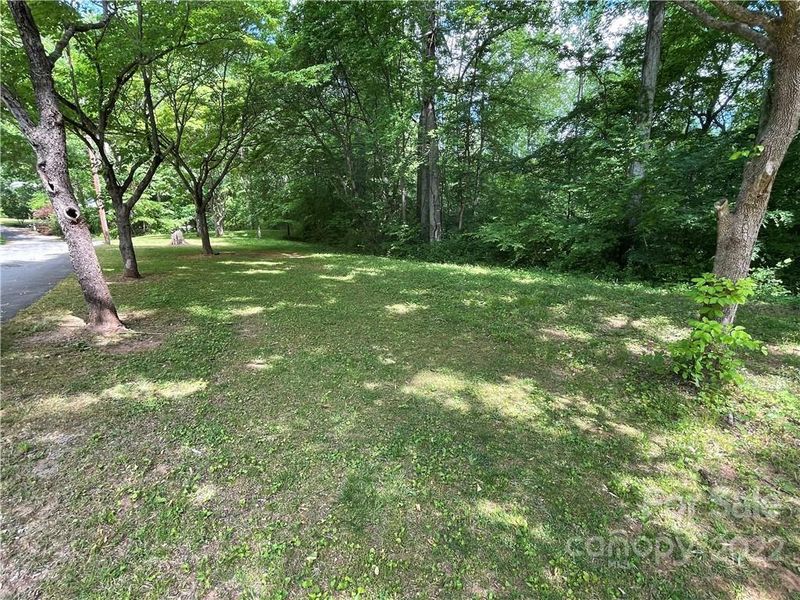 110 E Holly St, Maiden, NC 28650