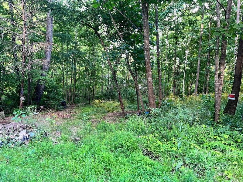 00 Walk A Long Way, Mount Holly, NC 28120