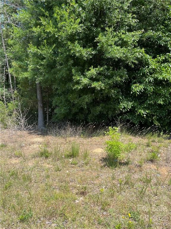 6623 Simpson Rd Lot 6, Charlotte, NC 28216