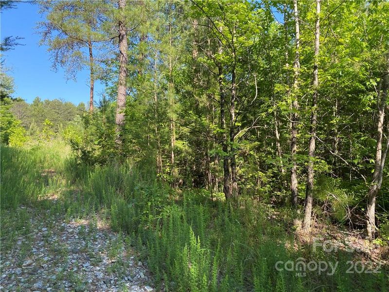 0 Old Chester Rd, Blacksburg, SC 29702
