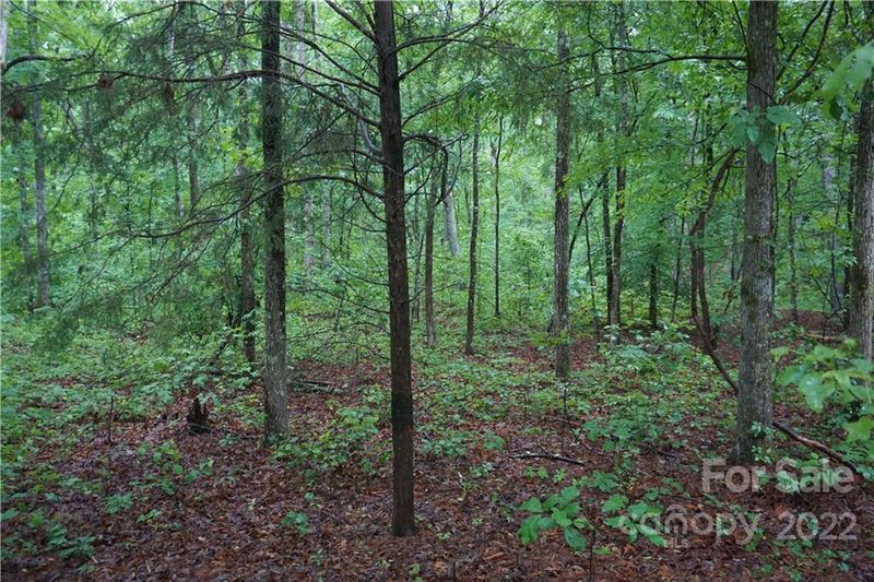 0 Rock Cut Rd #2, Smyrna, SC 29743