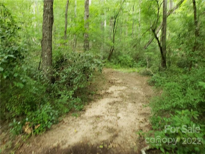 TBD Hamilton Rd, Edgemoor, SC 29712