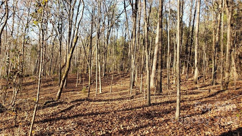 TBD Hamilton Rd, Edgemoor, SC 29712
