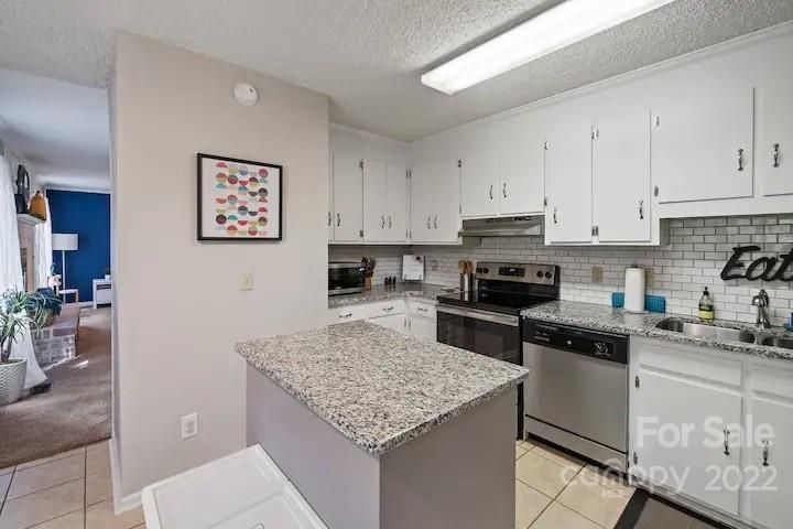 10986 Painted Tree Rd, Charlotte, NC 28226