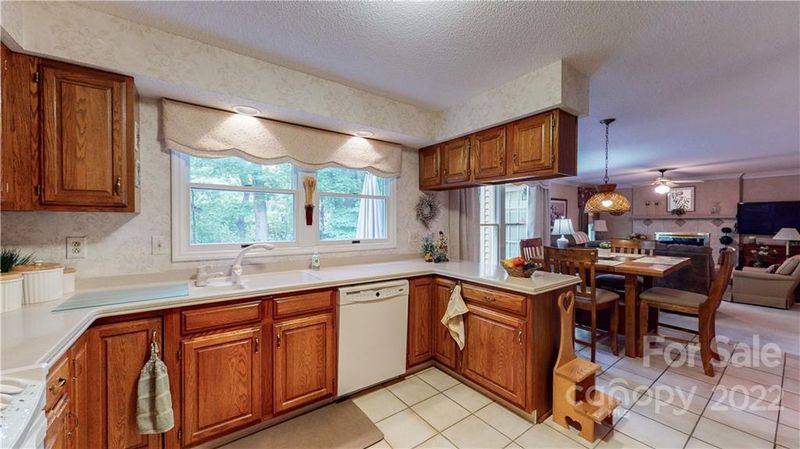 9804 White Cascade Dr, Charlotte, NC 28269