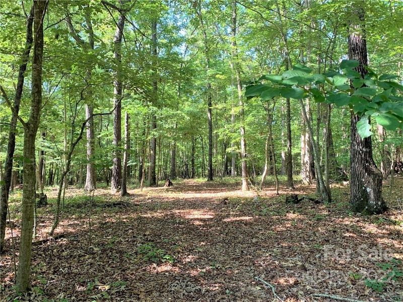 0 Crestview Ave, Waxhaw, NC 28173