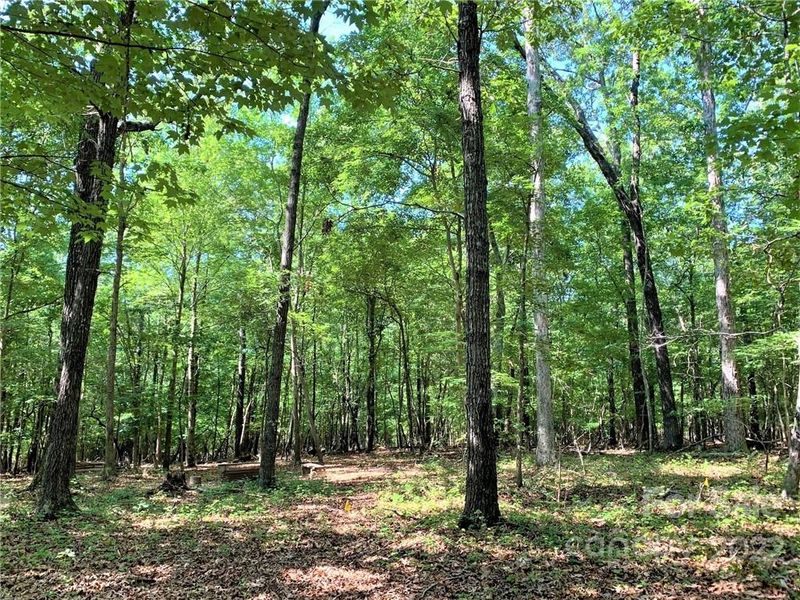 0 Crestview Ave, Waxhaw, NC 28173