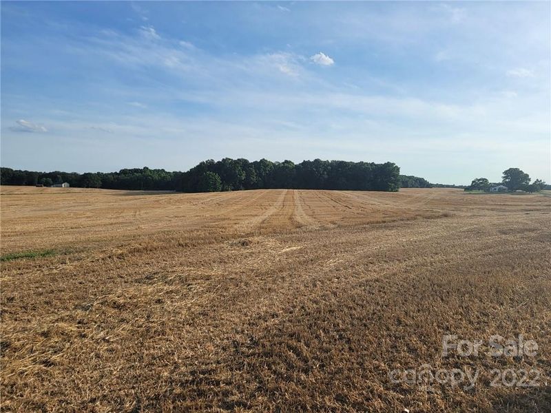 0 Lee Pierce Rd, Marshville, NC 28103