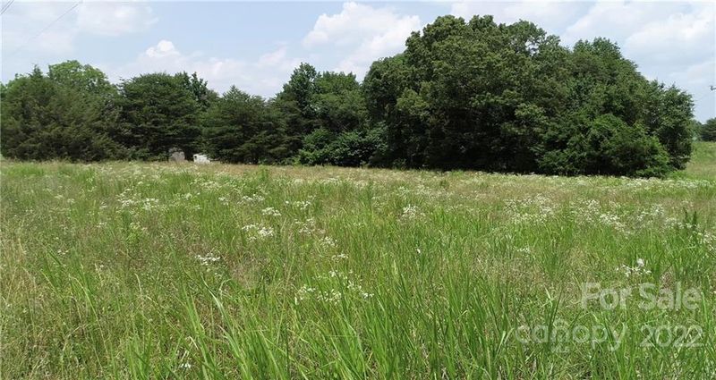 TBD Maiden Salem Rd #2, Lincolnton, NC 28092