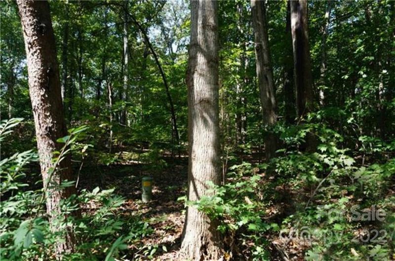 3829 Mill Rn, Terrell, NC 28682