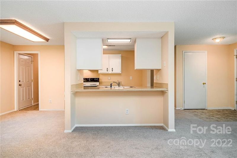 2229 Rice Planters Rd, Charlotte, NC 28273