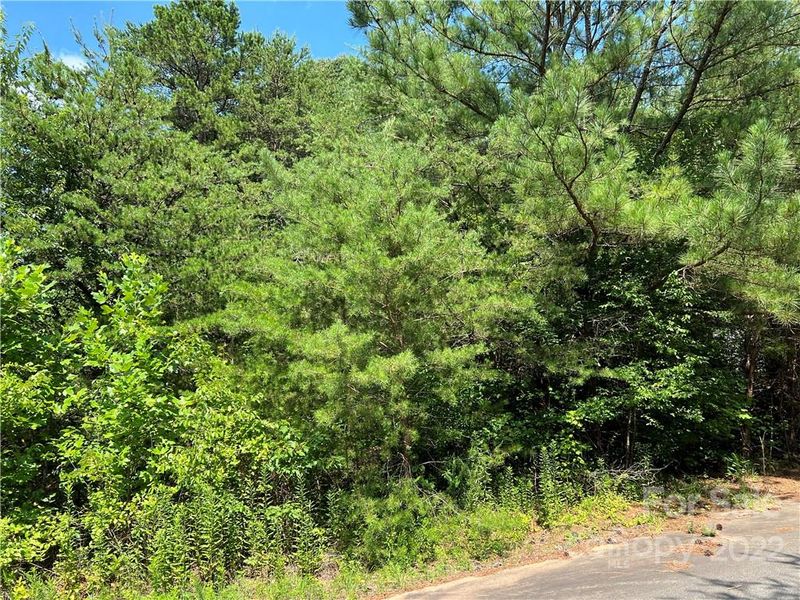 2400 Oak Valley Ln, Maiden, NC 28650