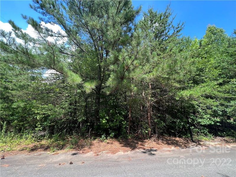 2400 Oak Valley Ln, Maiden, NC 28650