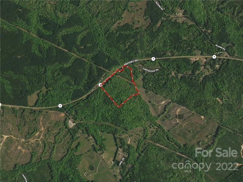2695 Pinkney Rd, Chester, SC 29706