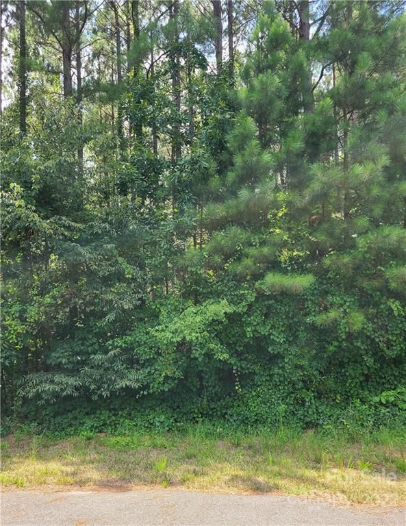 6644 Goose Point Dr #156, Denver, NC 28037