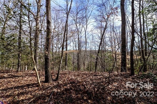 6270 Ruffin Ln, Conover, NC 28613
