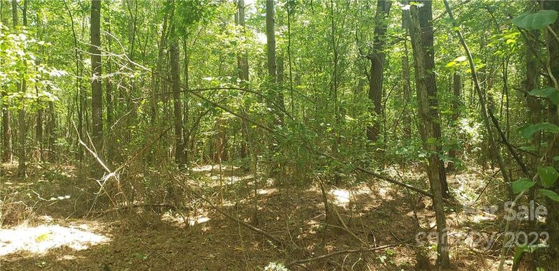 1915 Aprils Way, Newton, NC 28658