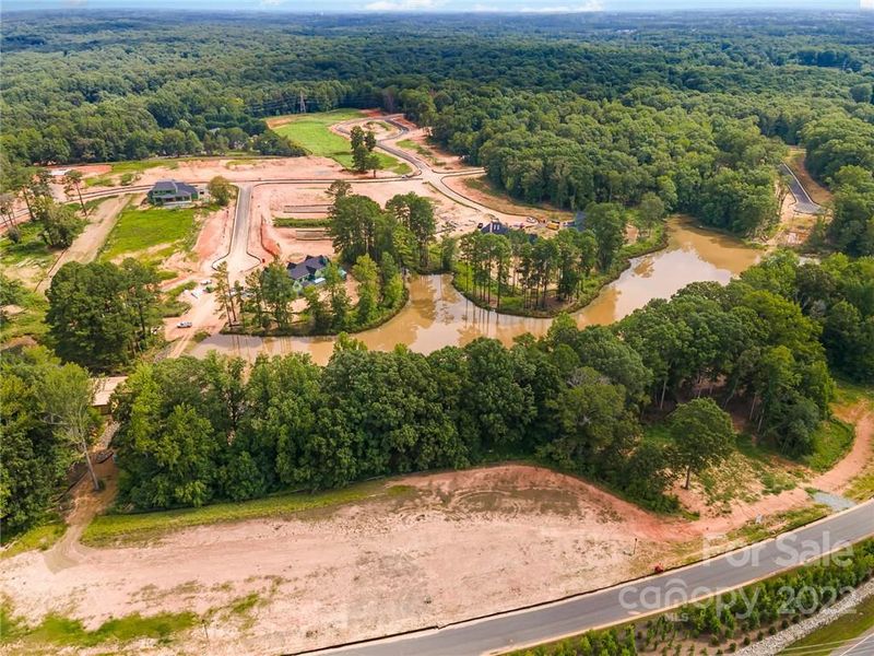 119 River Birch Ln #06, Weddington, NC 28104