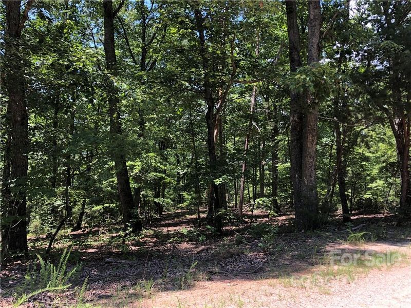 00 White Pine Dr, Hickory, NC 28602