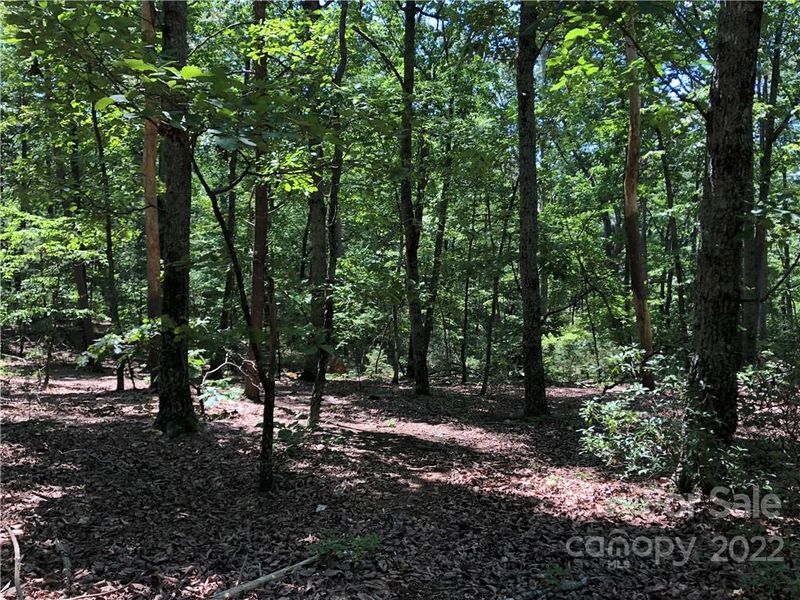 00 White Pine Dr, Hickory, NC 28602