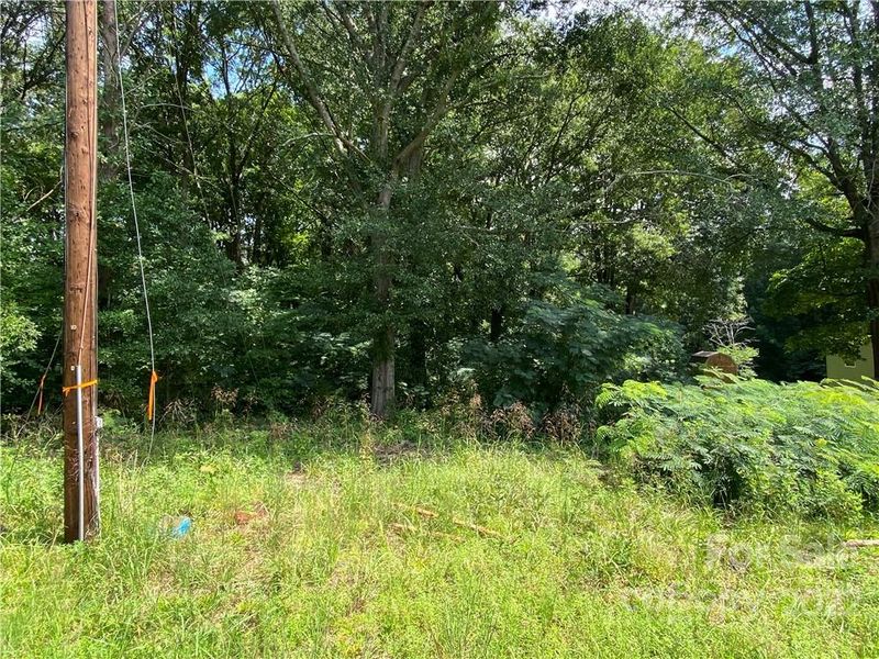 Parcel 19552 Sipe Rd, Lincolnton, NC 28092