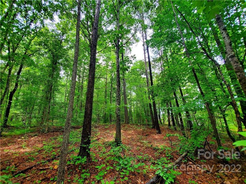 1657 Brown Chapel Rd, Catawba, NC 28609