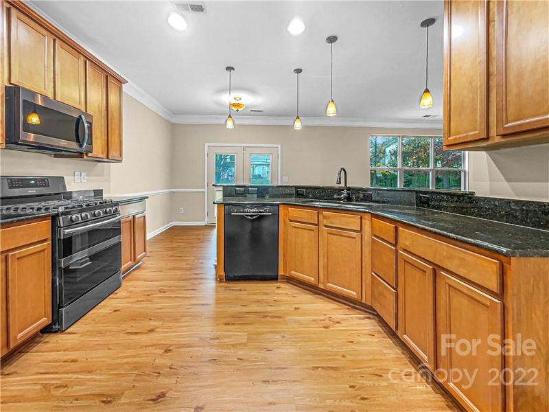 1003 Jeweled Crown Ct, Indian Trail, NC 28079