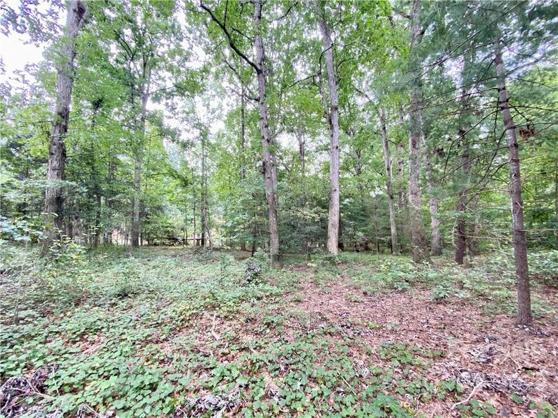 19 ac Howards Bridge Rd, Union Grove, NC 28689