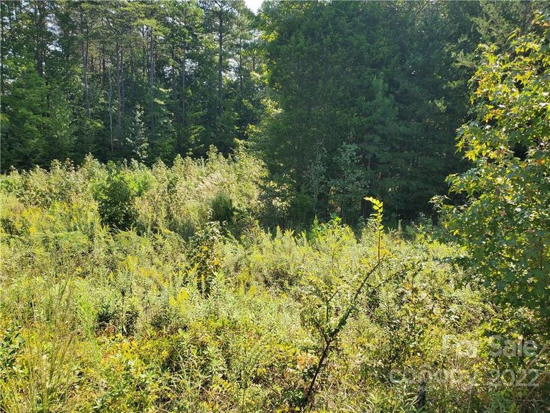 289 State Park Rd, Troutman, NC 28166