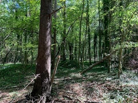 0 Midwood Dr, Monroe, NC 28112