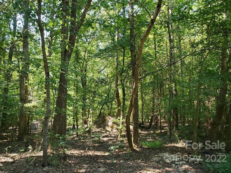 212 Lester Davis Rd #4, Waxhaw, NC 28173