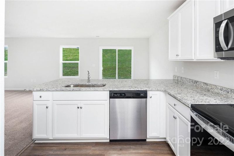 208 Lily Stream Way, Charlotte, NC 28214