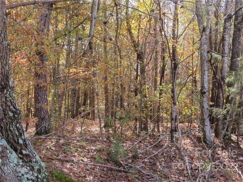 181 Cedarvale Dr #Lt 35, Harmony, NC 28634