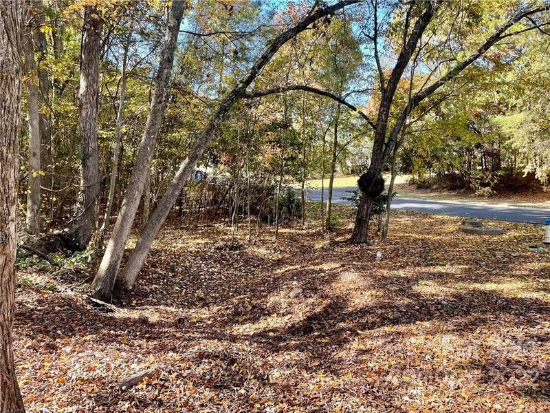 1675 Old Tara Ln, Fort Mill, SC 29708