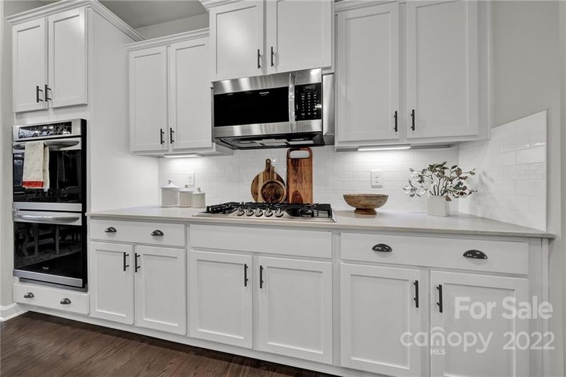 17629 Shasta Daisy Cir, Davidson, NC 28036