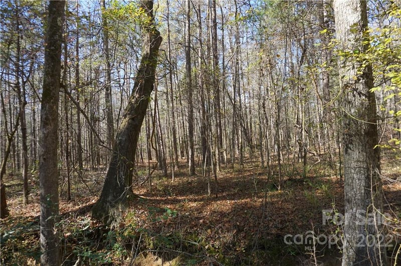 10.64 AC Burree Rd #6, Clover, SC 29710