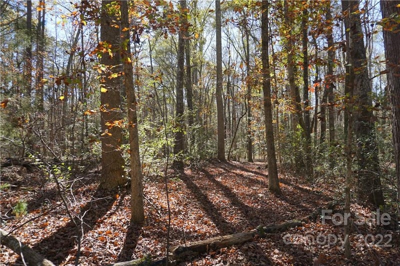 10.64 AC Burree Rd #6, Clover, SC 29710
