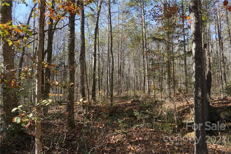 10.64 AC Burree Rd #6, Clover, SC 29710