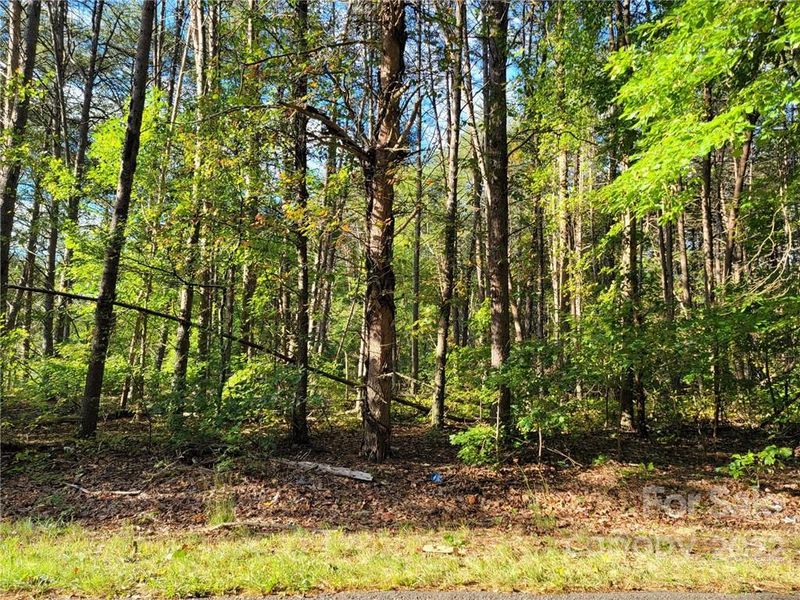 Lot 2 Eaker Rd, Bessemer City, NC 28016