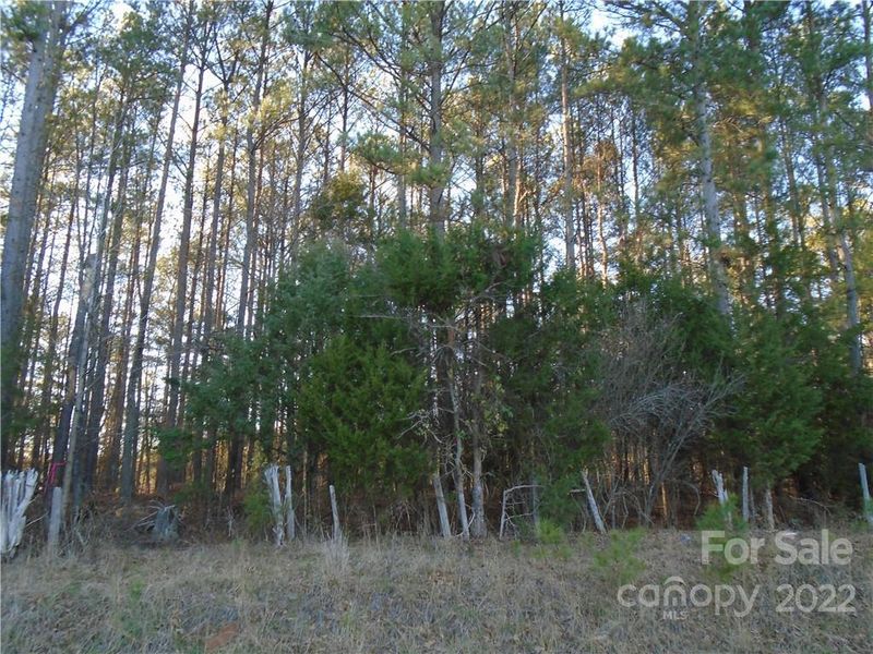 519 Riddle Mill Rd, Clover, SC 29710