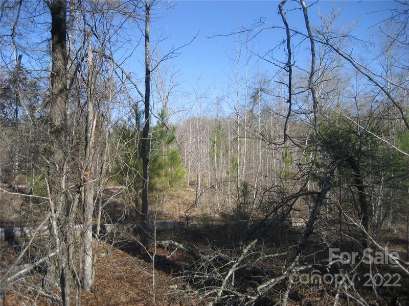 00 Yellow Gate Rd #Tract 4, York, SC 29745