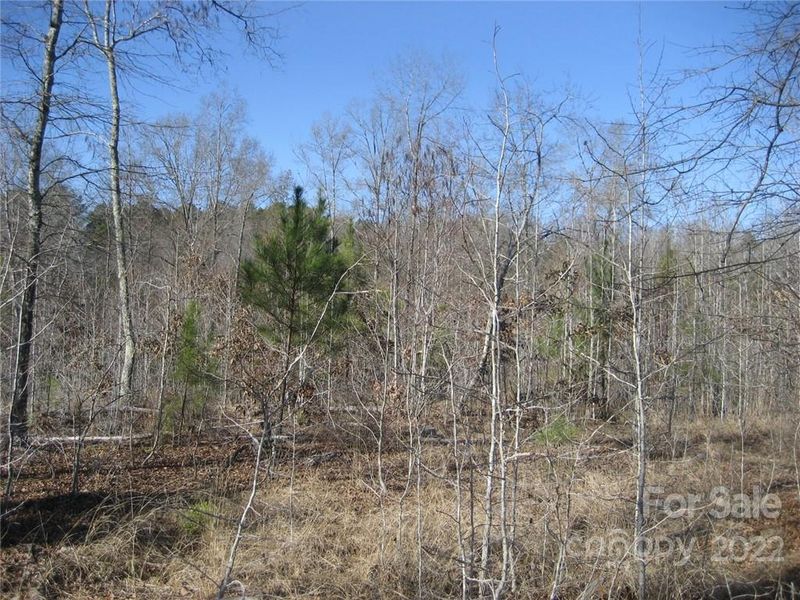 00 Yellow Gate Rd #Tract 4, York, SC 29745