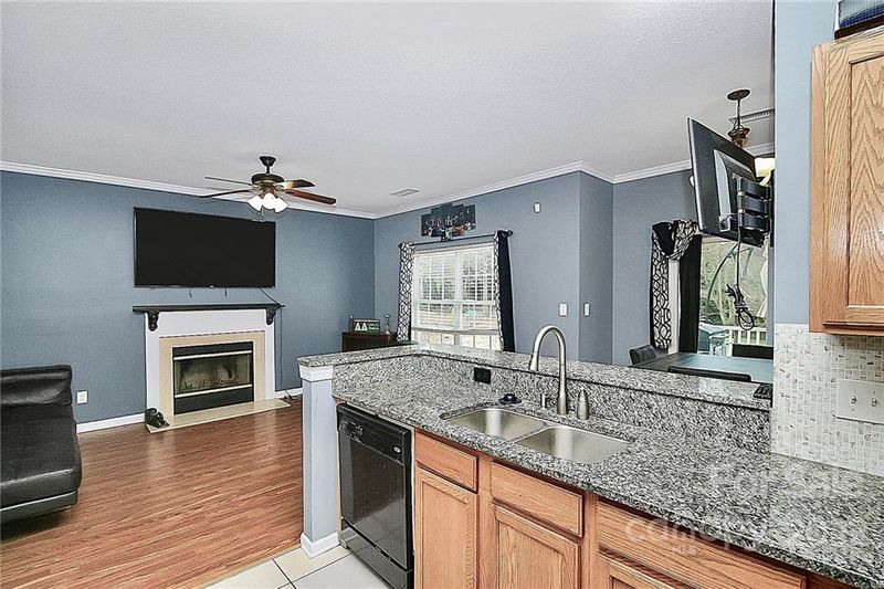 13517 Michael Shane Ct, Charlotte, NC 28278