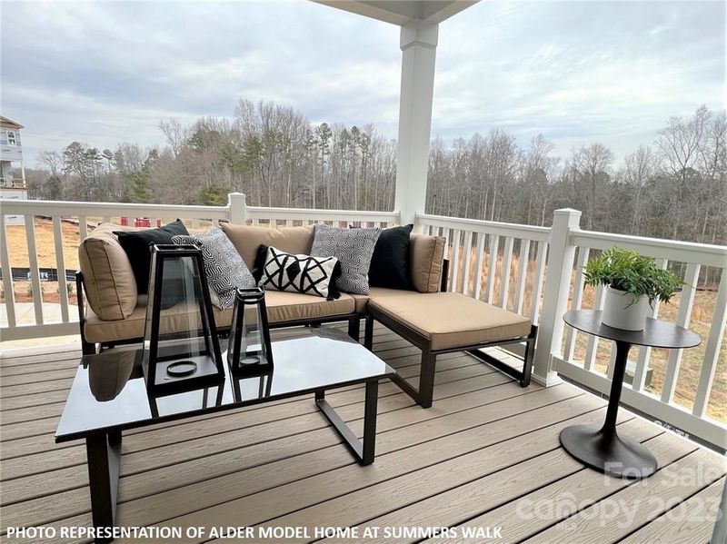 16764 Summers Walk Blvd #13, Davidson, NC 28036