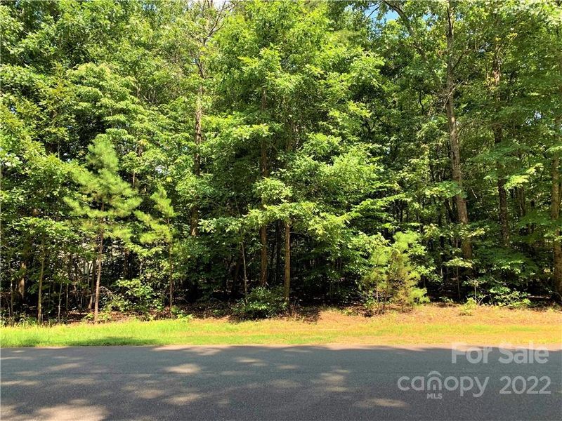 0 Nablus Rd #4, Waxhaw, NC 28173