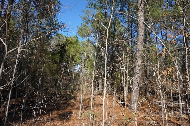 11 AC Harmony Church Rd, Edgemoor, SC 29712