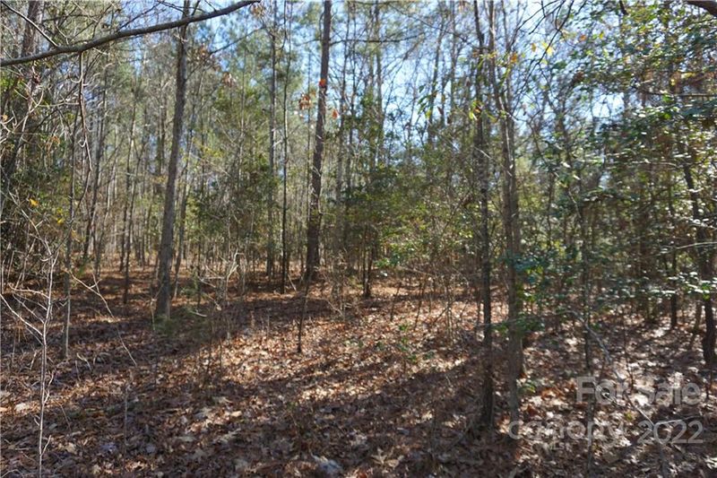 11 AC Harmony Church Rd, Edgemoor, SC 29712