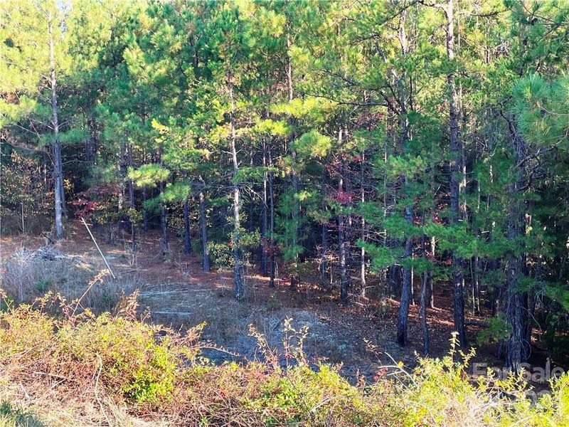 000 Collins Rd, Edgemoor, SC 29712
