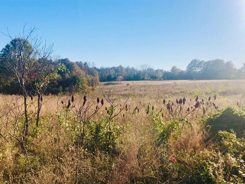 26496 E 54 Hwy, Walker, MO 64790