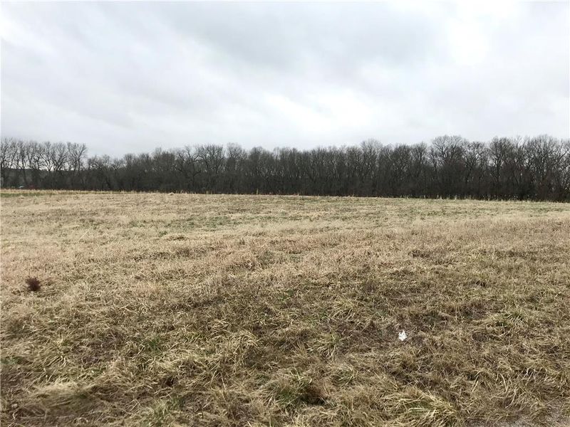 TractD W 231st St, Edgerton, KS 66021